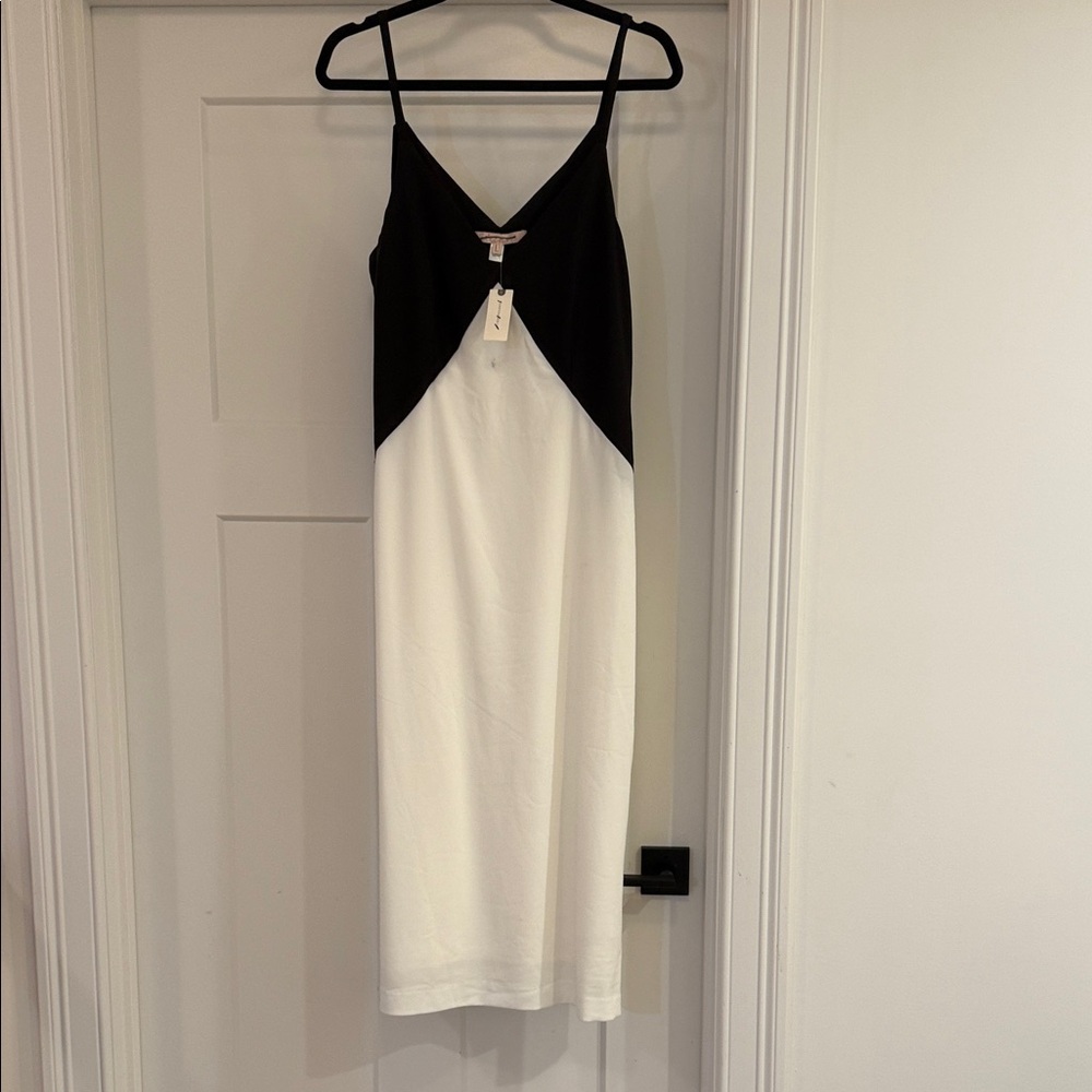 Anthropologie Black and White Sleeveless Dress